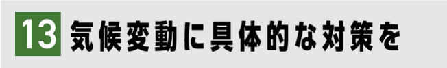 13 気候変動に具体的な対策を