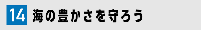 14 海の豊かさを守ろう