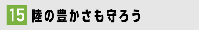 15 森の豊かさも守ろう