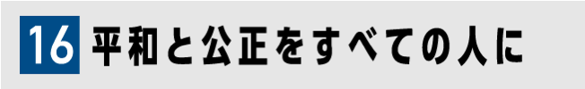 16 平和と公正をすべての人に