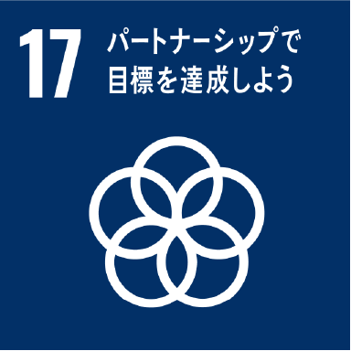17 パートナーシップで目標を達成しよう